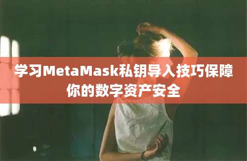 学习MetaMask私钥导入技巧保障你的数字资产安全