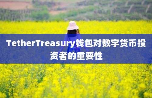 TetherTreasury钱包对数字货币投资者的重要性