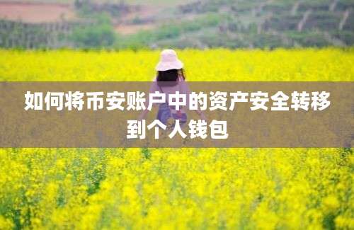 如何将币安账户中的资产安全转移到个人钱包