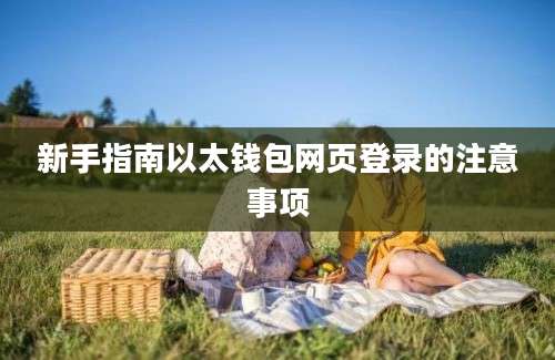 新手指南以太钱包网页登录的注意事项