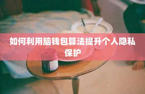 如何利用脑钱包算法提升个人隐私保护