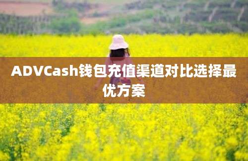 ADVCash钱包充值渠道对比选择最优方案