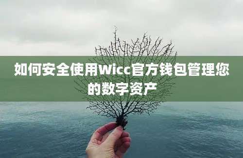 如何安全使用Wicc官方钱包管理您的数字资产