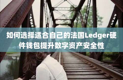 如何选择适合自己的法国Ledger硬件钱包提升数字资产安全性