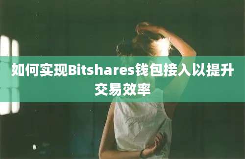 如何实现Bitshares钱包接入以提升交易效率