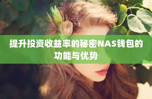 提升投资收益率的秘密NAS钱包的功能与优势