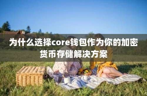 为什么选择core钱包作为你的加密货币存储解决方案