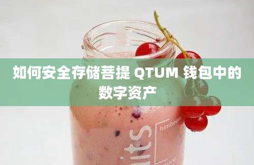 如何安全存储菩提 QTUM 钱包中的数字资产