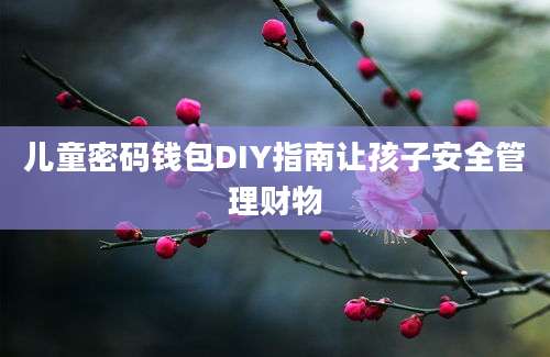 儿童密码钱包DIY指南让孩子安全管理财物