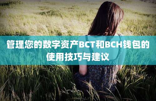 管理您的数字资产BCT和BCH钱包的使用技巧与建议