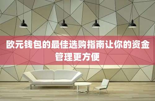 欧元钱包的最佳选购指南让你的资金管理更方便