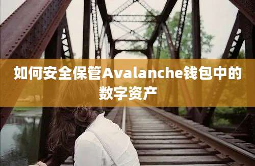 如何安全保管Avalanche钱包中的数字资产