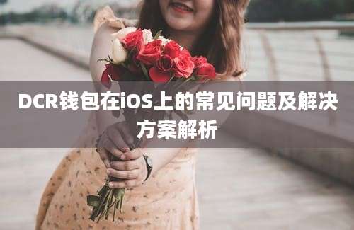 DCR钱包在iOS上的常见问题及解决方案解析