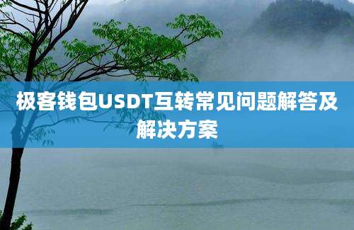 极客钱包USDT互转常见问题解答及解决方案