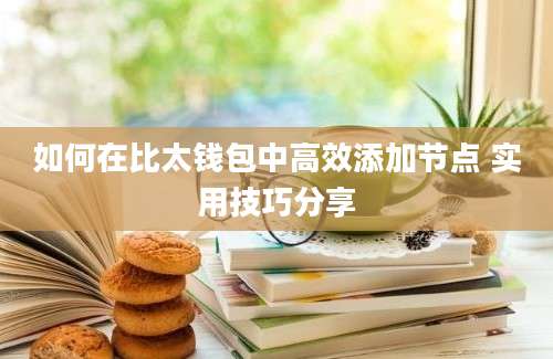 如何在比太钱包中高效添加节点 实用技巧分享