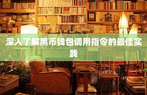 深入了解黑币钱包调用指令的最佳实践