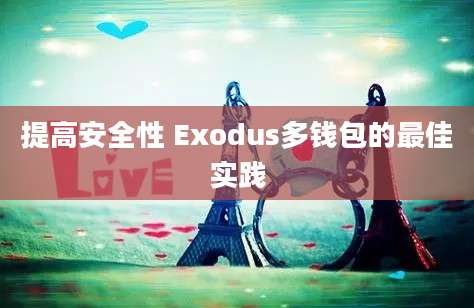 提高安全性 Exodus多钱包的最佳实践