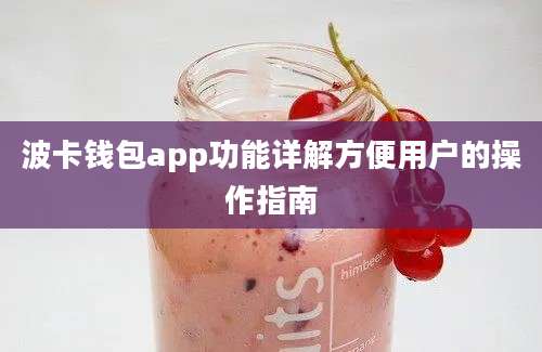 波卡钱包app功能详解方便用户的操作指南