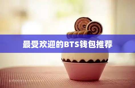 最受欢迎的BTS钱包推荐