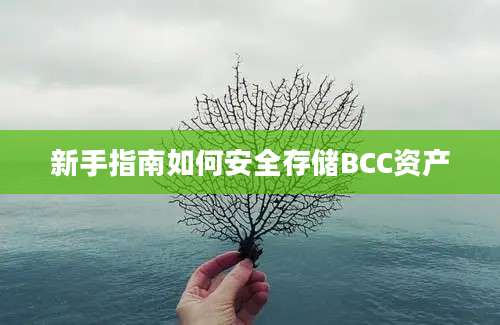 新手指南如何安全存储BCC资产