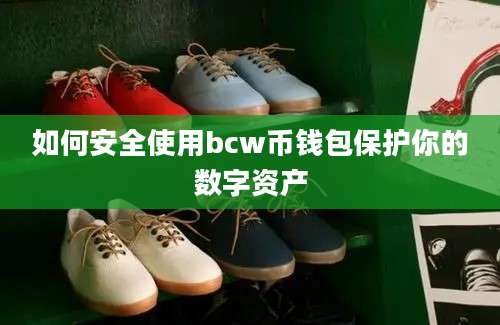 如何安全使用bcw币钱包保护你的数字资产