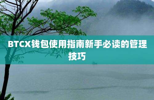 BTCX钱包使用指南新手必读的管理技巧