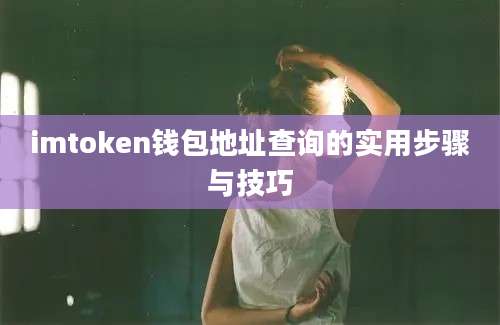 imtoken钱包地址查询的实用步骤与技巧