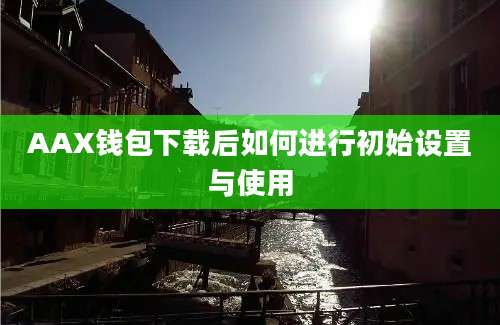 AAX钱包下载后如何进行初始设置与使用