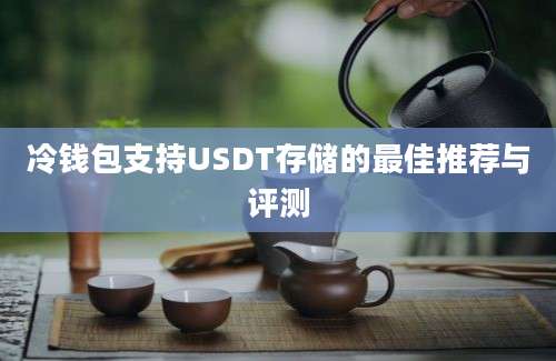 冷钱包支持USDT存储的最佳推荐与评测