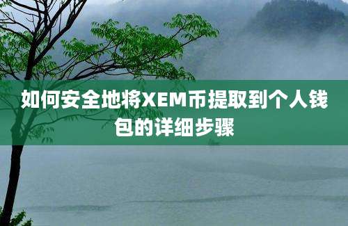 如何安全地将XEM币提取到个人钱包的详细步骤