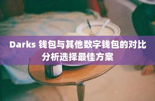 Darks 钱包与其他数字钱包的对比分析选择最佳方案