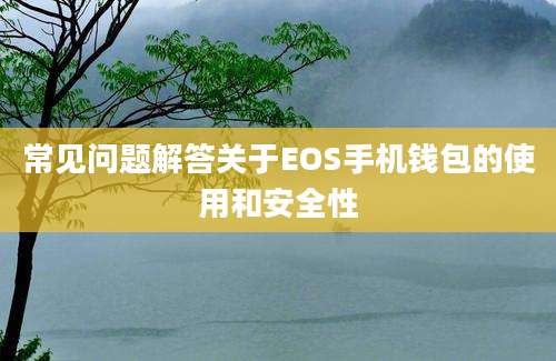 常见问题解答关于EOS手机钱包的使用和安全性