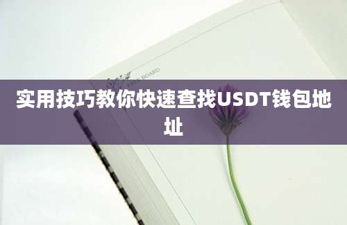 实用技巧教你快速查找USDT钱包地址