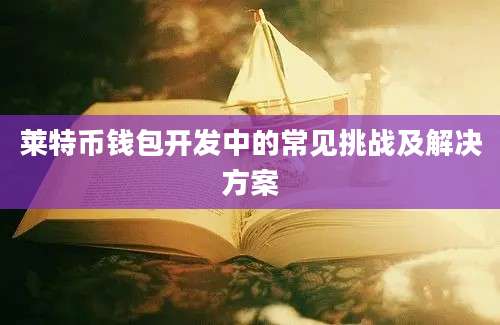 莱特币钱包开发中的常见挑战及解决方案