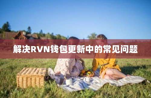 解决RVN钱包更新中的常见问题