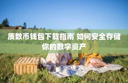 质数币钱包下载指南 如何安全存储你的数字资产