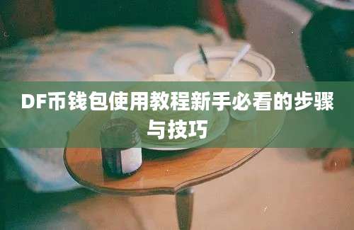 DF币钱包使用教程新手必看的步骤与技巧