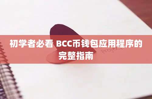 初学者必看 BCC币钱包应用程序的完整指南