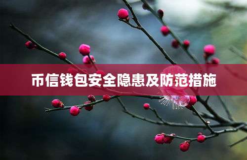 币信钱包安全隐患及防范措施