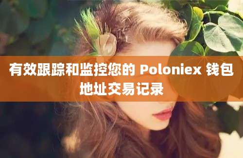 有效跟踪和监控您的 Poloniex 钱包地址交易记录