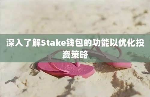 深入了解Stake钱包的功能以优化投资策略