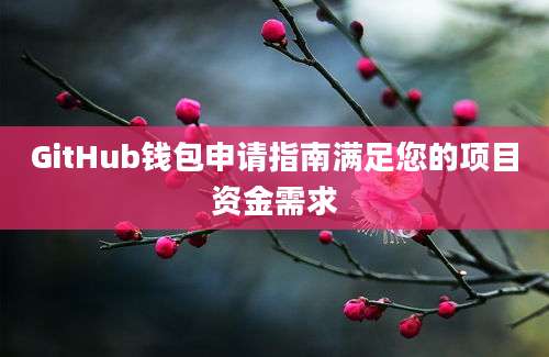 GitHub钱包申请指南满足您的项目资金需求