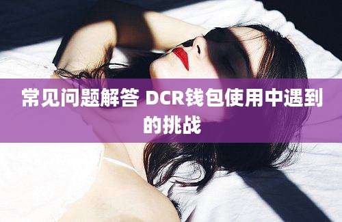 常见问题解答 DCR钱包使用中遇到的挑战