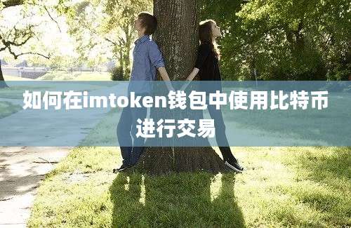 如何在imtoken钱包中使用比特币进行交易