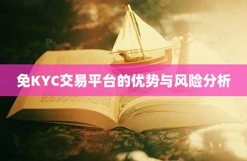 免KYC交易平台的优势与风险分析