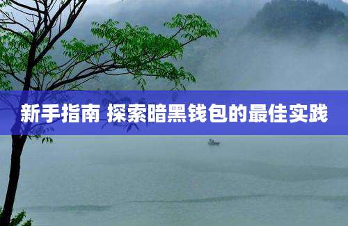 新手指南 探索暗黑钱包的最佳实践