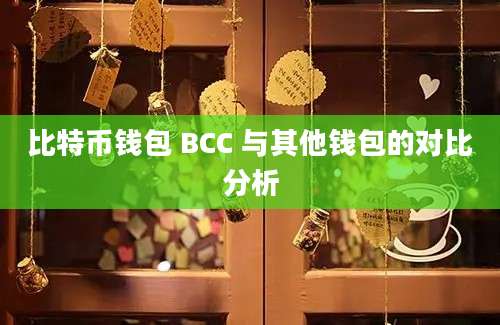 比特币钱包 BCC 与其他钱包的对比分析