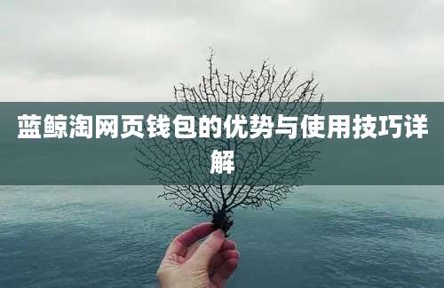 蓝鲸淘网页钱包的优势与使用技巧详解