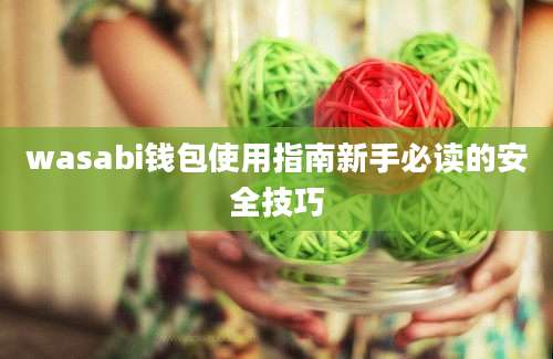 wasabi钱包使用指南新手必读的安全技巧