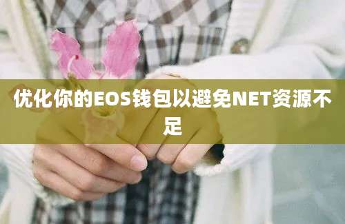 优化你的EOS钱包以避免NET资源不足